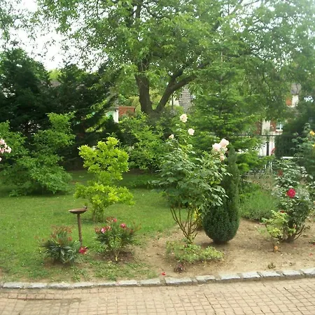 Les Magnolias