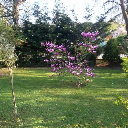Les Magnolias